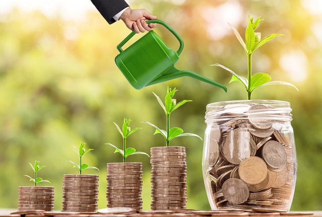 Successful Growth in Financial Investment